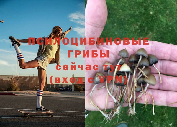 амф Гусиноозёрск